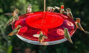Mangeoire pour oiseaux Maison d'oiseau Type de suspension Mangeoire colibri 